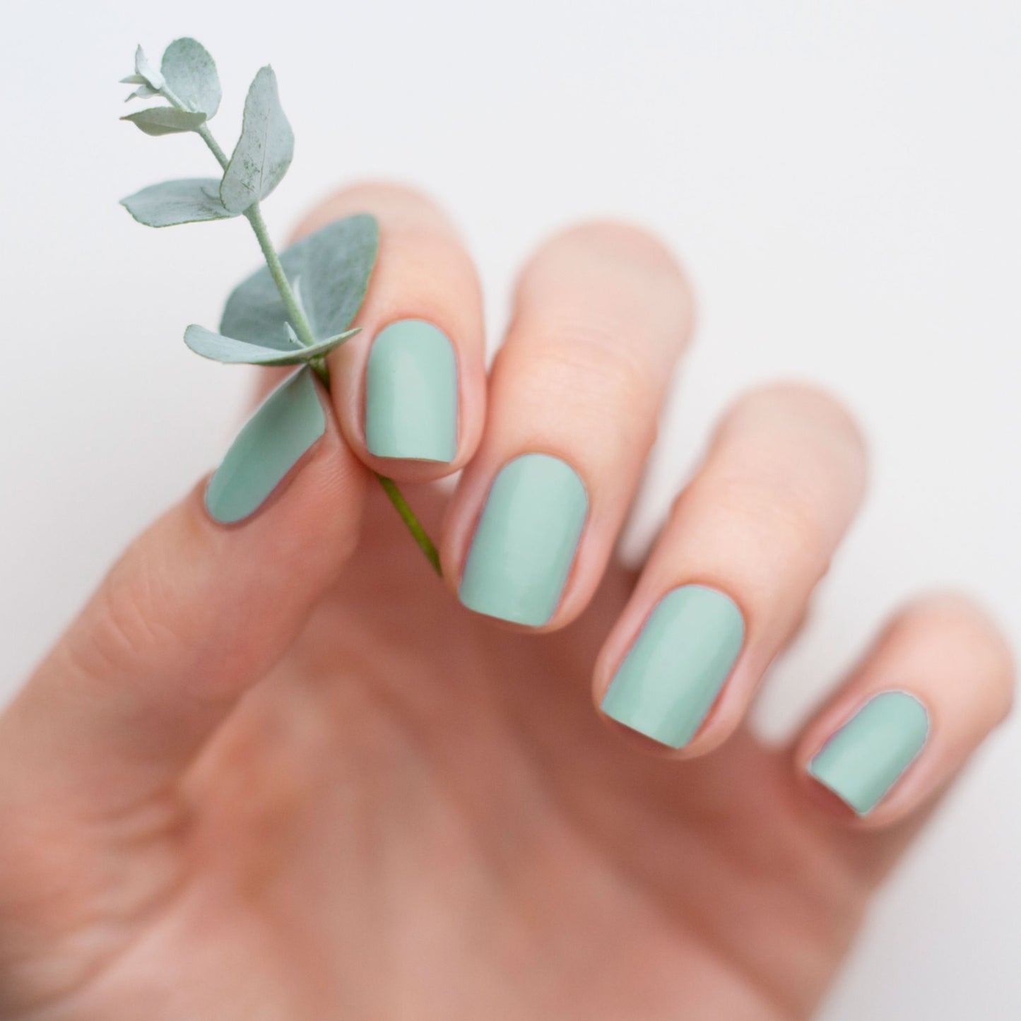Me & Eucalyptus