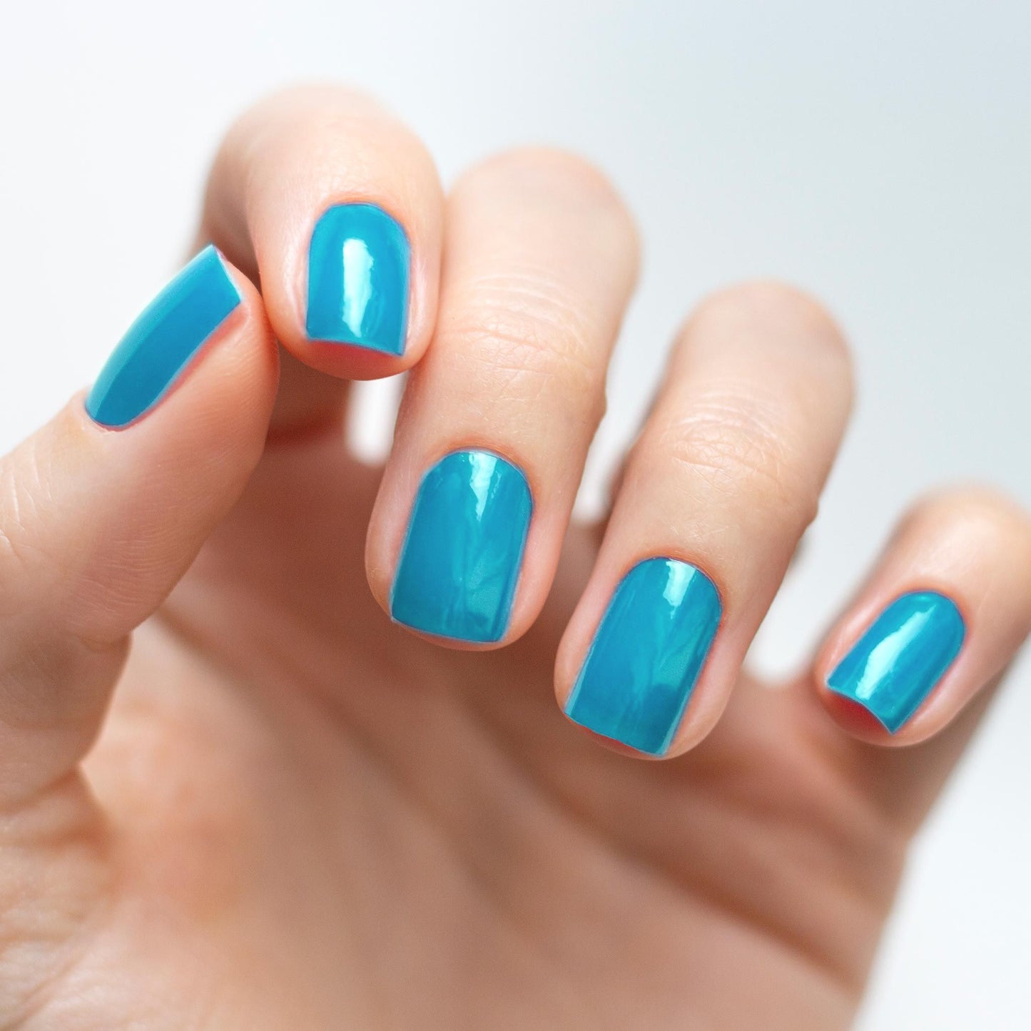 Wet 'n Wild