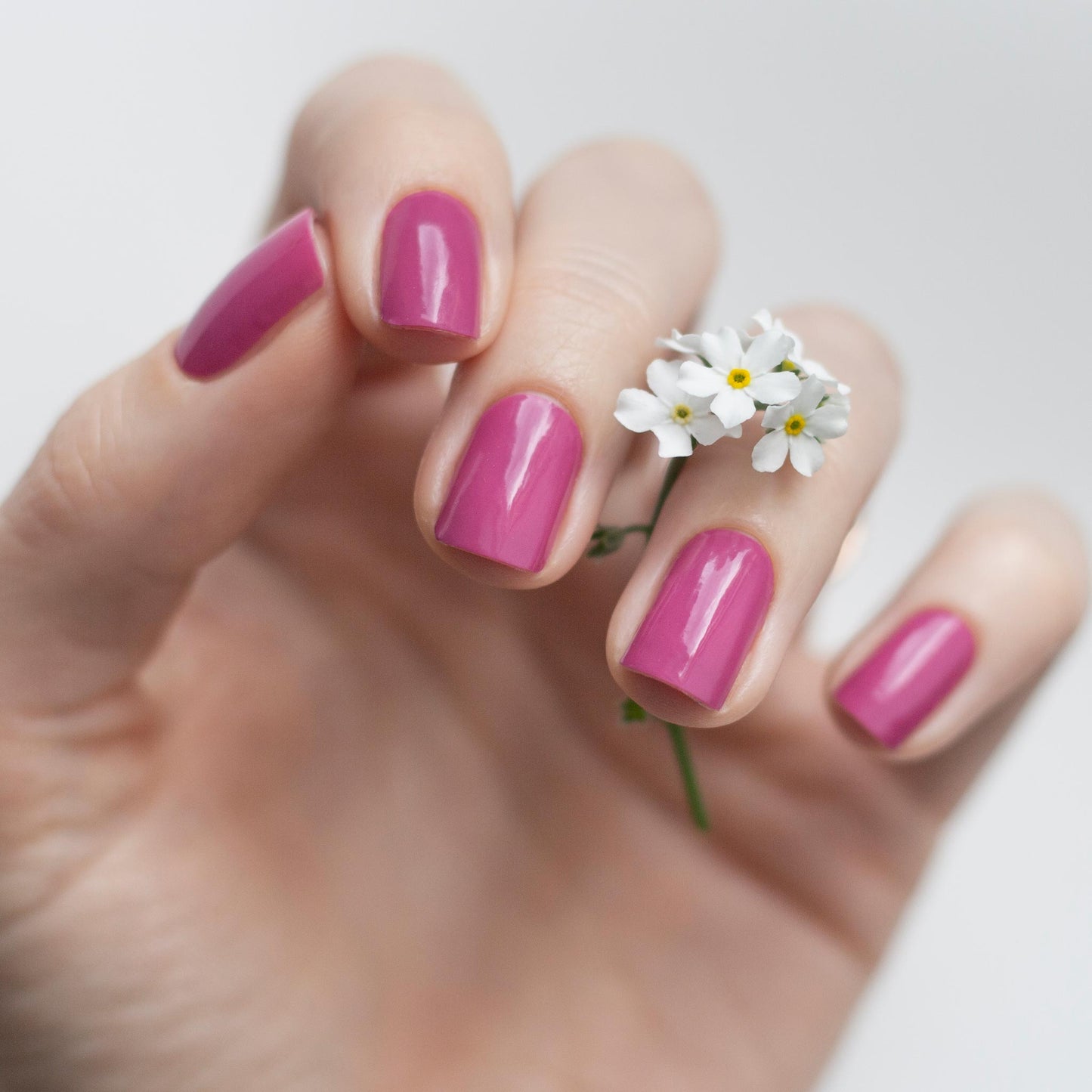 English Rose