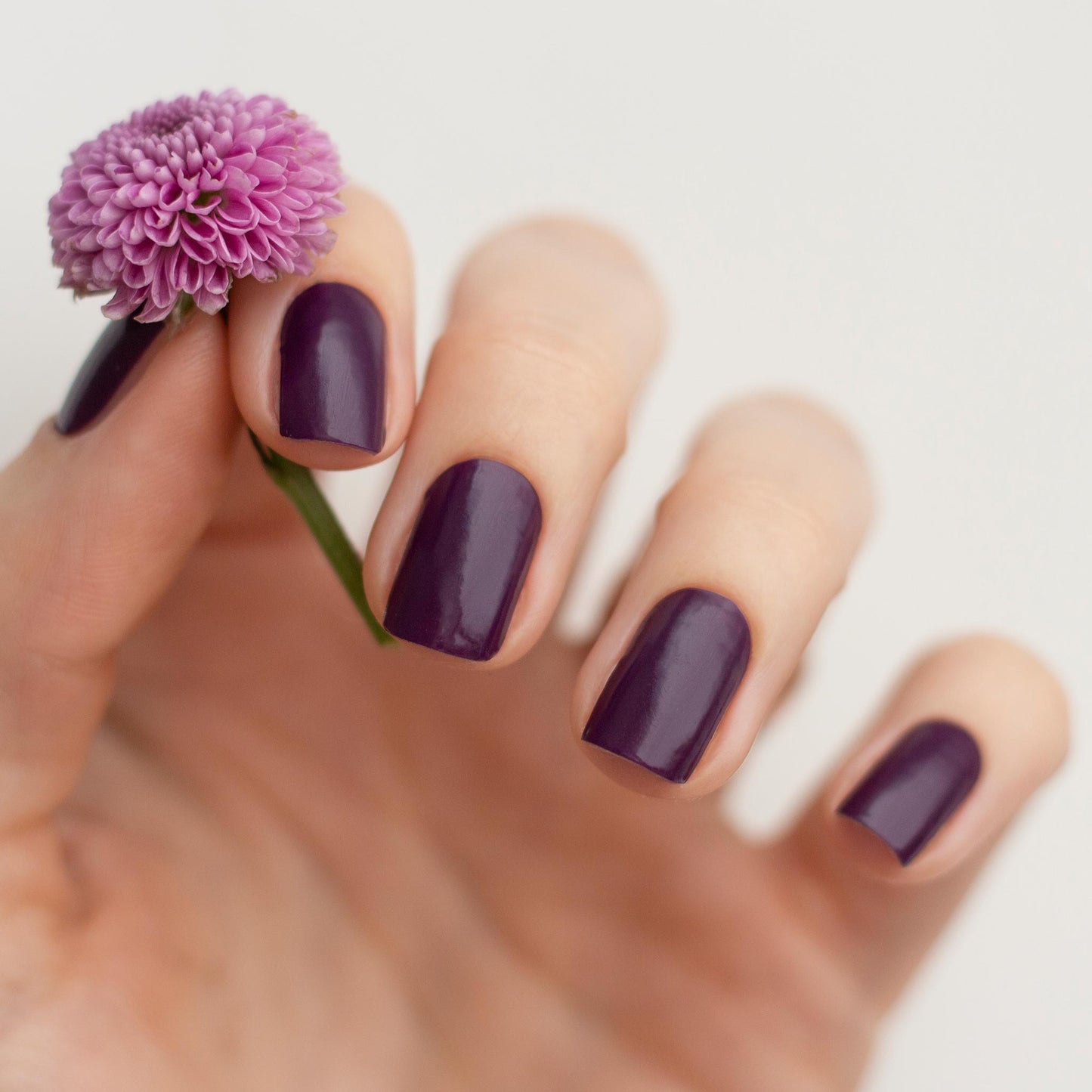 Like A Ripe Plum