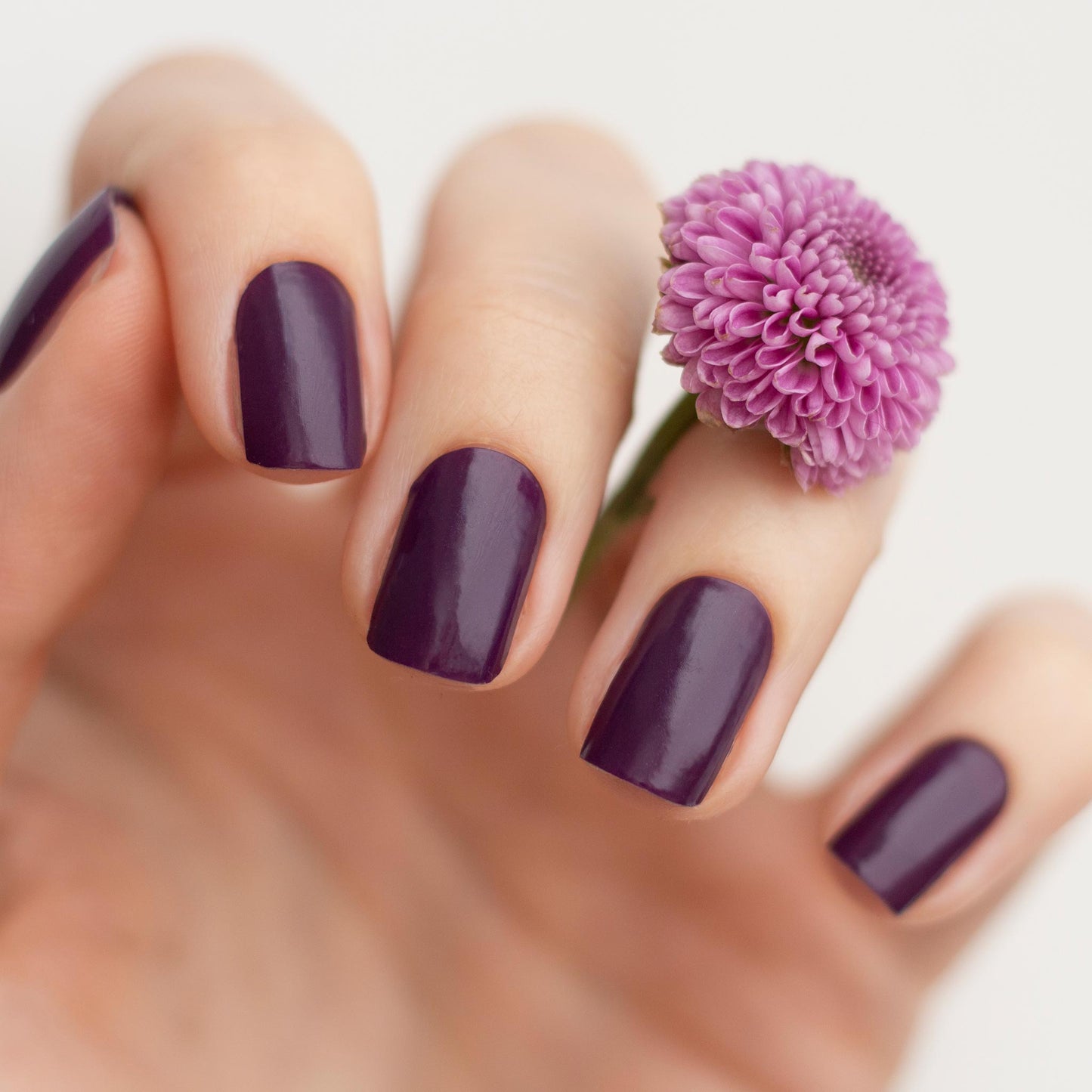 Like A Ripe Plum